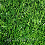 Газонная трава 