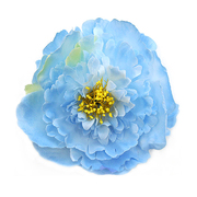 Цветок «Пион» №5 Брошь-зажим 13 см голубой