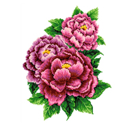 Рисунок на канве Каролинка КК-025 «Розовые пионы» 22*30см