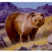 Алмазная мозаика DIY (с рамкой) LM-K20273 «Медведь в горах» 20*20 см