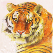 Алмазная мозаика NEW WORLD SW2150 «Тигр» 25*25 см