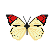 Набор для вышивания Нитекс 2319 «Бабочка Белянка» 22*22 см