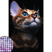 Алмазная мозаика Школа талантов 4176754 «Взгляд кошки» 20*30 см частичная выкладка