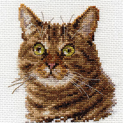 Набор для вышивания Алиса 0-135 «Европейский кот» 11*12 см в интернет-магазине Швейпрофи.рф