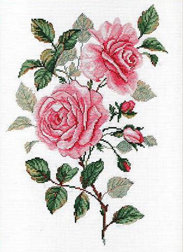 Набор для вышивания М.П.Студия НВ-541 «Садовые розы» 25*35 см