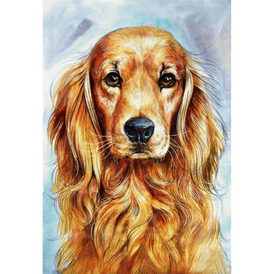 Картина по номерам Paintboy GX22904 Золотистая собака в интернет-магазине Швейпрофи.рф