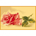 Схема для вышивания ДК-097 А3 «Розовая роза» 30*40 см