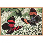 Схема для вышивания ДК-502 А3 «Бабочки» 30*40 см