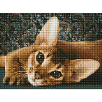 Алмазная мозаика АЖ-1458 «Абиссинская кошка» 30*40 см в интернет-магазине Швейпрофи.рф