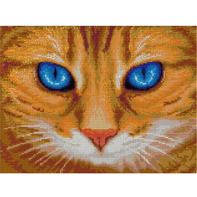 Алмазная мозаика АЖ-1716  «Синеглазый кот» 30*40 см в интернет-магазине Швейпрофи.рф