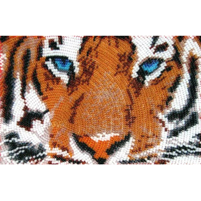 Ткань для вышивания бисером Butterfly 945 «Глаза тигра» 12*17 см в интернет-магазине Швейпрофи.рф