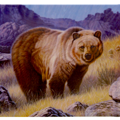 Алмазная мозаика DIY (с рамкой) LM-K20273 «Медведь в горах» 20*20 см в интернет-магазине Швейпрофи.рф