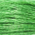 Мулине DMC 8м, 702 мутновато-зеленый в интернет-магазине Швейпрофи.рф
