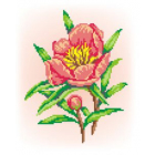 Набор для вышивания М.П.Студия КH-371  «Цветущий шиповник» 21*30 см