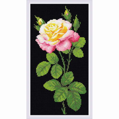 Алмазная мозаика Риолис АМ0024 «Дивный цветок» 20*38 см в интернет-магазине Швейпрофи.рф