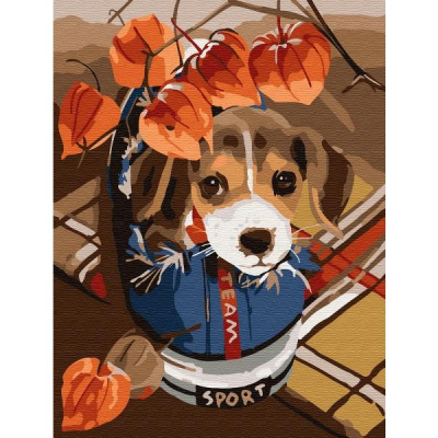 Картина по номерам Molly KH0795 «Озорной щенок» 15*20 см в интернет-магазине Швейпрофи.рф