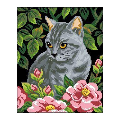 Рисунок на канве Гелиос Д-010 «Серьезный котик» 23*27 см в интернет-магазине Швейпрофи.рф