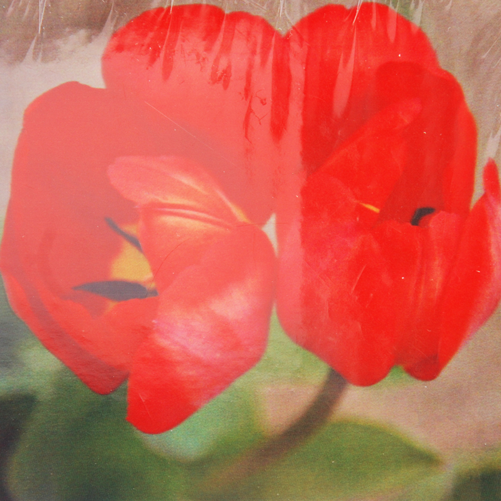 Алмазная мозаика DIY (с рамкой) LM-K20107 «Красные тюльпаны» 20*20 см