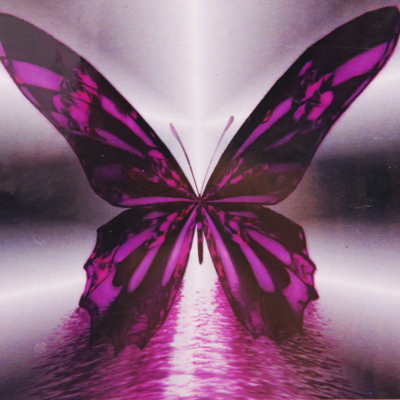 Алмазная мозаика DIY (с рамкой) LM-K20130 «Фиолетовая бабочка» 20*20 см в интернет-магазине Швейпрофи.рф