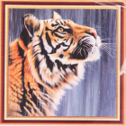 Алмазная мозаика Diamond MM21316 «Тигр» 25*25 см