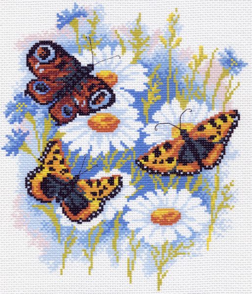 Рисунок на канве МП (28*37 см) 0624-1 «Бабочки на ромашках»