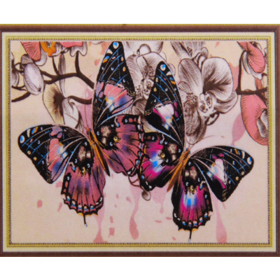 Алмазная мозаика DIY К-1077 «Две бабочки» 28*38 см в интернет-магазине Швейпрофи.рф
