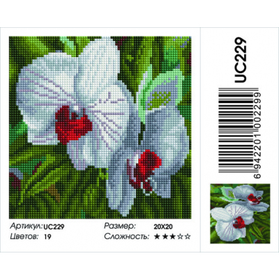 Алмазная мозаика Подсолнух UC229 «Белые орхидеи» 20*20 см на подрамнике в интернет-магазине Швейпрофи.рф