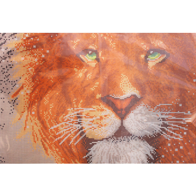 Ткань для вышивания бисером А3 КМЧ-3455 «Взгляд льва» 25*37 см в интернет-магазине Швейпрофи.рф