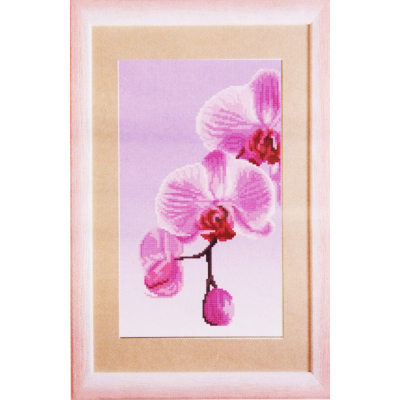Ткань для вышивания бисером ЧМ СБ-295 Розовая Орхидея 17*30 см в интернет-магазине Швейпрофи.рф