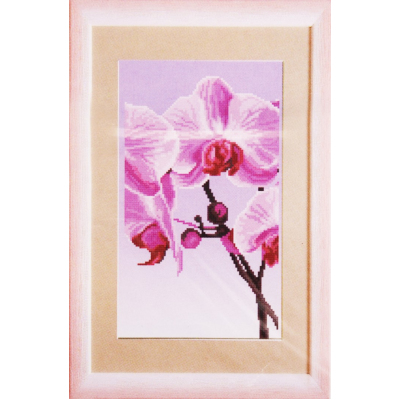 Ткань для вышивания бисером ЧМ СБ-296 Розовая Орхидея 17*30 см в интернет-магазине Швейпрофи.рф