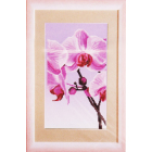 Ткань для вышивания бисером ЧМ СБ-296 Розовая Орхидея 17*30 см