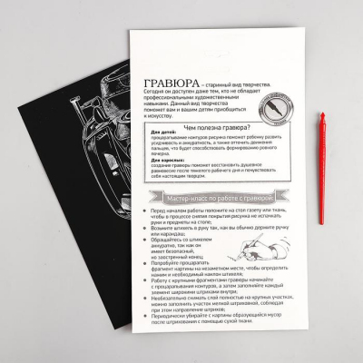 Гравюра Школа Талантов 2147990 «Тюнинг RWB» 21*29 см Гр с эффектом золото в интернет-магазине Швейпрофи.рф