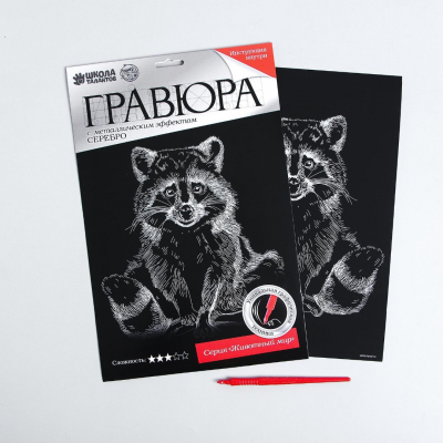 Гравюра Школа Талантов 4063542 «Енот» 21*29 см Гр с эффектом серебро в интернет-магазине Швейпрофи.рф