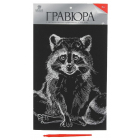 Гравюра Школа Талантов 4063542 «Енот» 21*29 см Гр с эффектом серебро в интернет-магазине Швейпрофи.рф