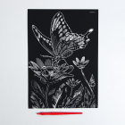 Гравюра Школа Талантов 4063547 «Бабочка на цветке» 21*29 см Гр с эффектом серебро в интернет-магазине Швейпрофи.рф