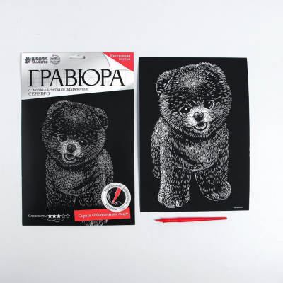 Гравюра Школа Талантов 4063548 «Шпиц» 21*29 см Гр с эффектом серебро в интернет-магазине Швейпрофи.рф