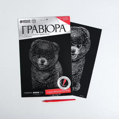 Гравюра Школа Талантов 4063548 «Шпиц» 21*29 см Гр с эффектом серебро в интернет-магазине Швейпрофи.рф