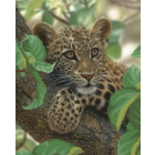 Ткань для вышивания бисером М.П.Студия Г-020 «Молодой леопард» 22,5*27,5 см