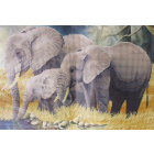 Ткань для вышивания бисером А3 КМЧ-3410 «Слоны» 25*37 см