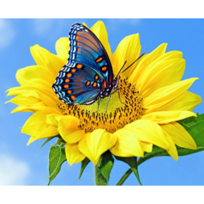 Алмазная мозаика DIY К-1017 «Бабочка на цветке» 38*28 см в интернет-магазине Швейпрофи.рф