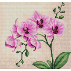 Набор для вышивания Luca-S В2227 «Орхидеи» 23*22,5 см