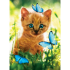 Алмазная мозаика Школа Талантов 5498148 «Котенок с бабочками» 15*21 см