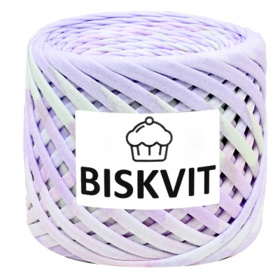 Пряжа Бисквит (Biskvit) (ленточная пряжа) смузи в интернет-магазине Швейпрофи.рф
