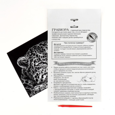 Гравюра Школа Талантов 2147953 «Гепард» 21*29 см Гр с эффектом серебро в интернет-магазине Швейпрофи.рф