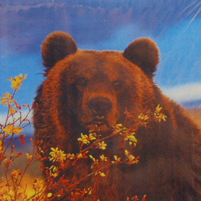 Алмазная мозаика DIY (с рамкой) MF-29078 «Медведь» 20*20 см в интернет-магазине Швейпрофи.рф