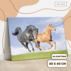 Картина по номерам Арт Узор 1063950 «Лошади» 30*40 см без подрамника в интернет-магазине Швейпрофи.рф