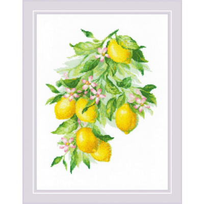 Набор для вышивания Риолис №2054 «Яркие лимоны» 30*40 см в интернет-магазине Швейпрофи.рф