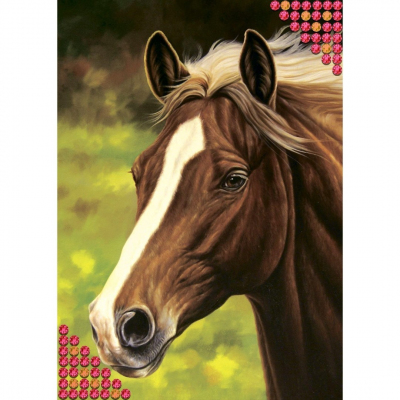 Алмазная мозаика Школа Талантов 2384583 «Лошадь» 15*21 см частичная выкладка в интернет-магазине Швейпрофи.рф