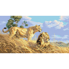Рисунок на канве Гелиос Ф-086 «Львы» 37,5*60 см