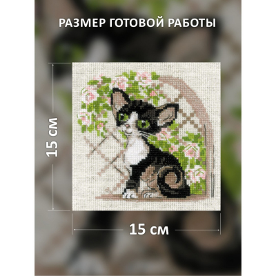 Набор для вышивания Риолис №2121 «Котенок корниш рекс» 15*15 см в интернет-магазине Швейпрофи.рф
